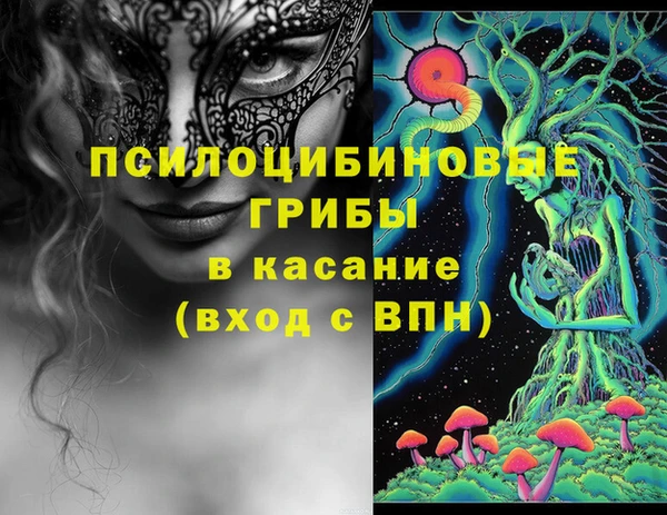молекула духа Алексин