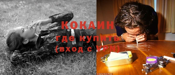 соль курить ск Алзамай