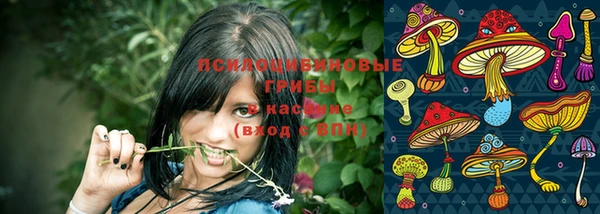 кокаин премиум Бердск