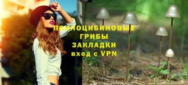 молекула духа Алексин
